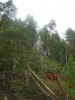 Файл=IMG_4239.JPG
Объём=162KB
Размеры=768x1024
Дата=Июль 18, 2013 IMG_4239.JPG