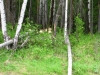 Файл=IMG_4308.JPG
Объём=206KB
Размеры=1024x768
Дата=Июль 29, 2013 IMG_4308.JPG