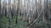 Файл=P1010434.JPG
Объём=133KB
Размеры=1024x576
Дата=Май 25, 2012 P1010434.JPG