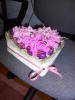 Файл=DSCN0810.JPG
Объём=3128KB
Размеры=3240x4320
Дата=Фев 05, 2013 DSCN0810.JPG