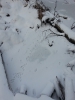 Файл=20131122_111714.jpg
Объём=1808KB
Размеры=2448x3264
Дата=Дек 09, 2013 20131122_111714.jpg