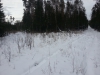 Файл=20131122_142721.jpg
Объём=2663KB
Размеры=3264x2448
Дата=Дек 09, 2013 20131122_142721.jpg