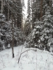 Файл=20131208_122307.jpg
Объём=3044KB
Размеры=2448x3264
Дата=Дек 09, 2013 20131208_122307.jpg