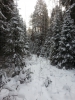 Файл=20131208_122310.jpg
Объём=3697KB
Размеры=2448x3264
Дата=Дек 09, 2013 20131208_122310.jpg
