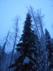 Файл=20131212_172037.jpg
Объём=2972KB
Размеры=2448x3264
Дата=Дек 16, 2013 20131212_172037.jpg