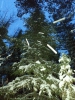 Файл=20131212_172705.jpg
Объём=3549KB
Размеры=2448x3264
Дата=Дек 16, 2013 20131212_172705.jpg