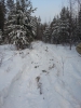 Файл=20131215_154918.jpg
Объём=2703KB
Размеры=2448x3264
Дата=Дек 15, 2013 20131215_154918.jpg