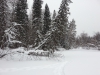 Файл=20140216_134615.jpg
Объём=3144KB
Размеры=3264x2448
Дата=Фев 16, 2014 20140216_134615.jpg
