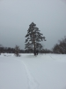 Файл=20140216_135325.jpg
Объём=1865KB
Размеры=2448x3264
Дата=Фев 16, 2014 20140216_135325.jpg