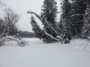 Файл=20140216_135936.jpg
Объём=2825KB
Размеры=3264x2448
Дата=Фев 16, 2014 20140216_135936.jpg