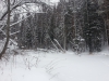 Файл=20140216_140904.jpg
Объём=3315KB
Размеры=3264x2448
Дата=Фев 16, 2014 20140216_140904.jpg