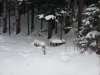 Файл=20140216_141223.jpg
Объём=2138KB
Размеры=3264x2448
Дата=Фев 16, 2014 20140216_141223.jpg