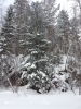 Файл=20140216_150853.jpg
Объём=3748KB
Размеры=2448x3264
Дата=Фев 16, 2014 20140216_150853.jpg