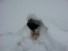 Файл=20140216_152152.jpg
Объём=1455KB
Размеры=3264x2448
Дата=Фев 16, 2014 20140216_152152.jpg