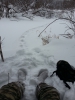 Файл=20140216_153411.jpg
Объём=2229KB
Размеры=2448x3264
Дата=Фев 16, 2014 20140216_153411.jpg