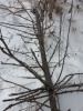 Файл=20140216_160153.jpg
Объём=2938KB
Размеры=2448x3264
Дата=Фев 16, 2014 20140216_160153.jpg