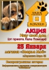 Файл=акция~0.jpg
Объём=128KB
Размеры=543x768
Дата=Янв 24, 2015 акция~0.jpg