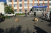Файл=DSC00626.JPG
Объём=134KB
Размеры=1024x685
Дата=Авг 09, 2007 DSC00626.JPG