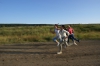 Файл=DSC00740.JPG
Объём=74KB
Размеры=1024x685
Дата=Авг 09, 2007 DSC00740.JPG