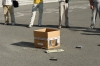 DSC04811.JPG