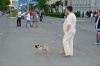 Файл=DSC00821.JPG
Объём=108KB
Размеры=1024x683
Дата=Июнь 25, 2008 DSC00821.JPG