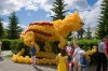 DSC09749.jpg