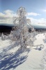 Файл=pak036.jpg
Объём=342KB
Размеры=683x1023
Дата=Нояб 13, 2008 pak036.jpg
